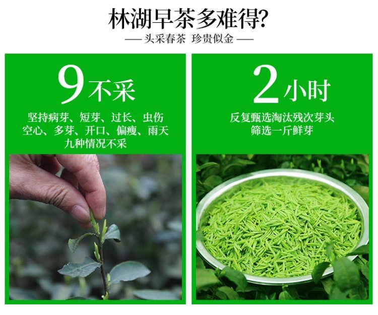 林湖茶叶 明前特级高山雀舌 100g*2盒 图3