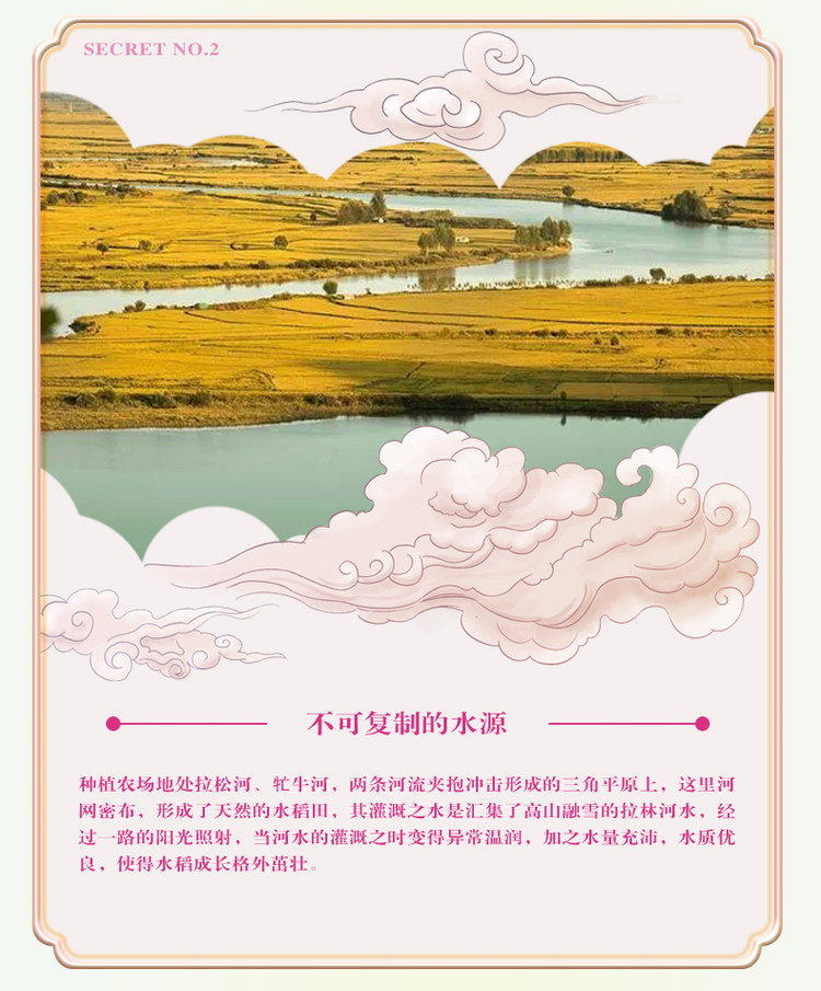 五常长粒香 大米5kg 图7