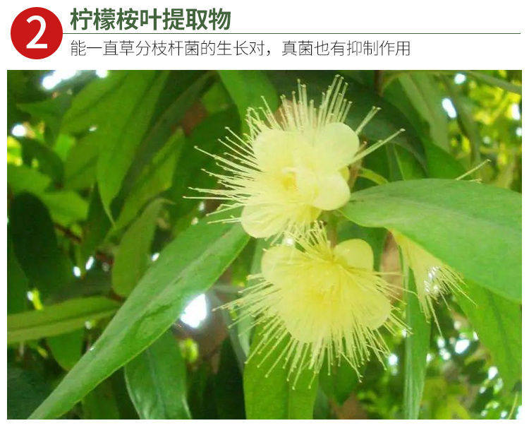 青花椒除螨喷雾剂300ml 图6