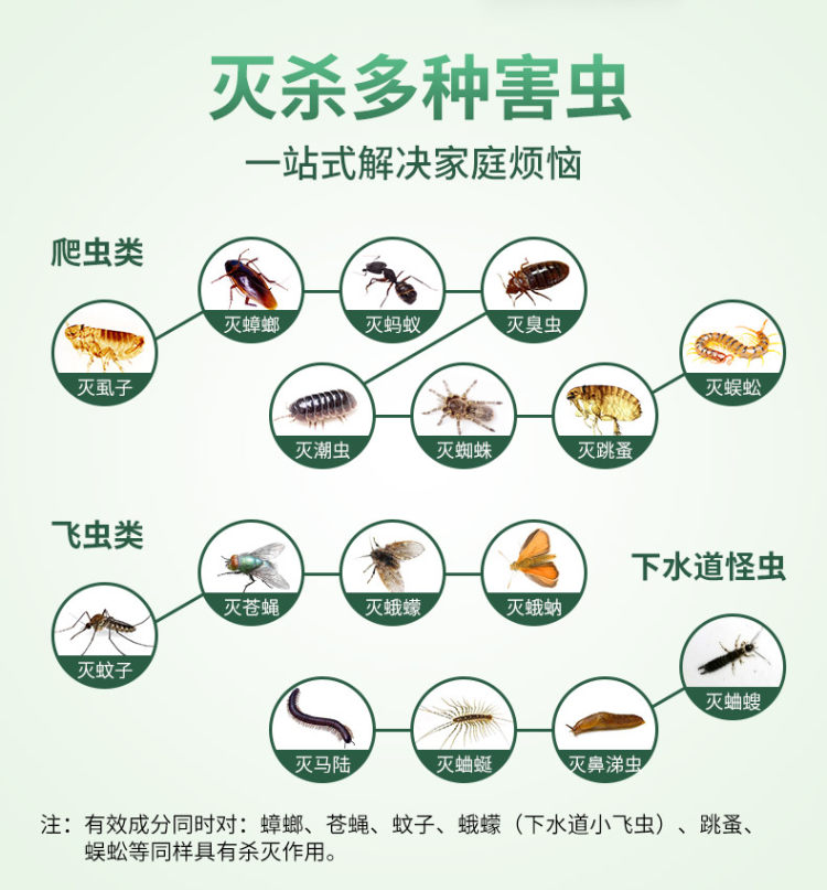 科凌虫控 杀虫喷剂500ml 人体无害可用在床上 图4