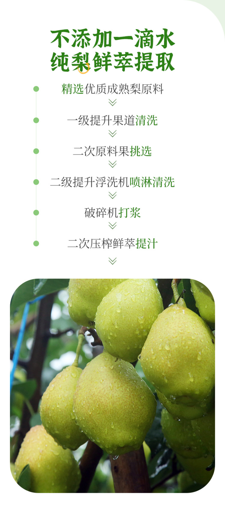 比叽比叽 儿童老人孕妇秋梨膏 图5