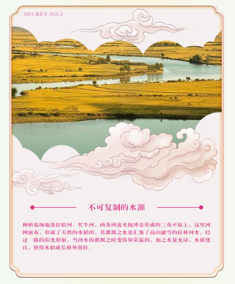 五常长粒香 大米5kg 图7