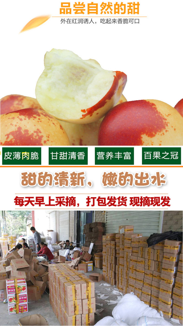 脆甜冬枣3斤礼盒装 图5
