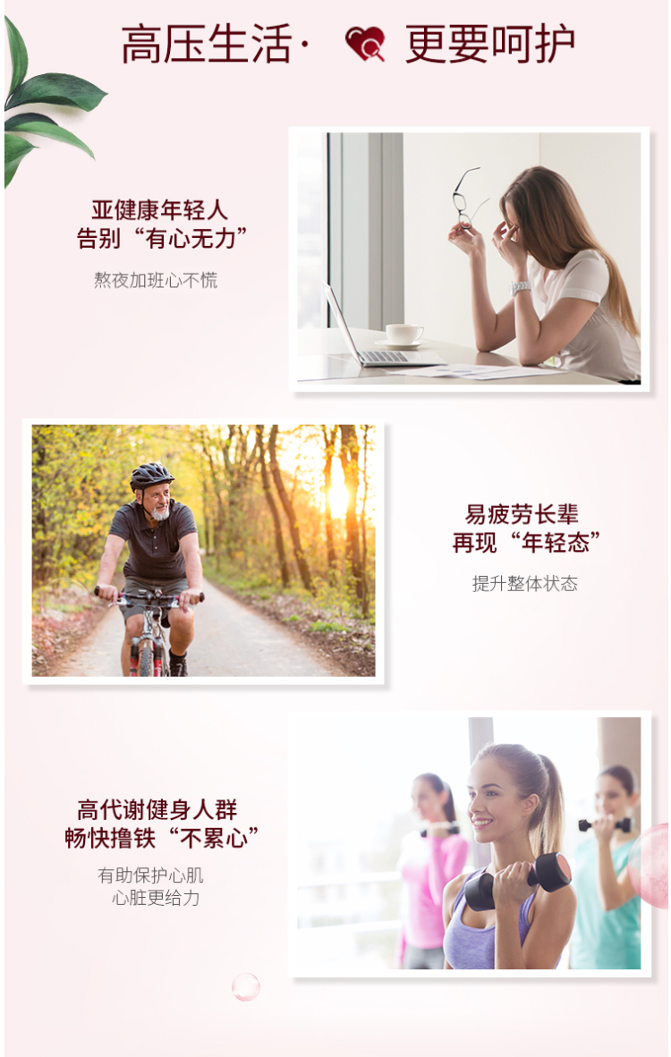 澳洲进口 澳佳宝 Blackmores 辅酶素Q10软胶囊 150mg*30粒 图3