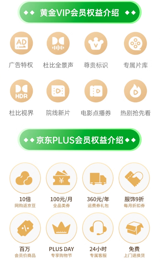 爱奇艺 黄金会员年卡+京东PLUS年卡 图1