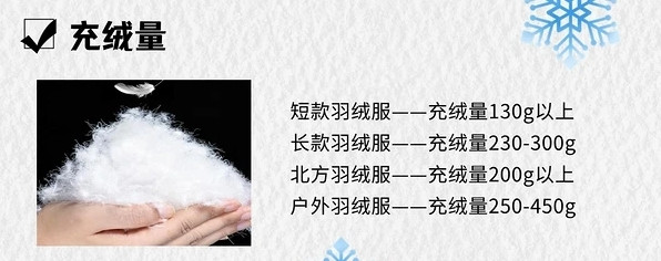 BLACKICE 黑冰 男/女款650蓬羽绒服 F8905+皮肤衣