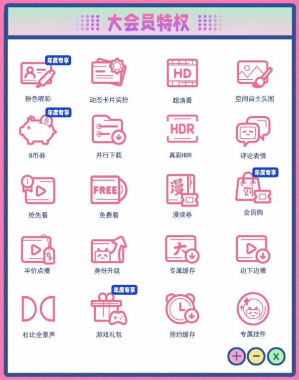 bilibili 哔哩哔哩 大会员年卡