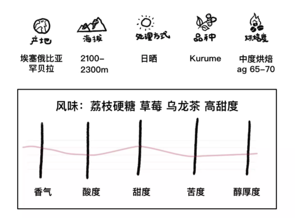 河汉咖啡 埃塞俄比亚 可如蜜 小粒SOE 中烘意式豆 200g