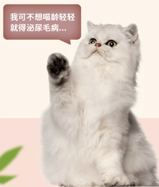 爱丽友 猫咪零食罐头 混合口味 85g*6罐