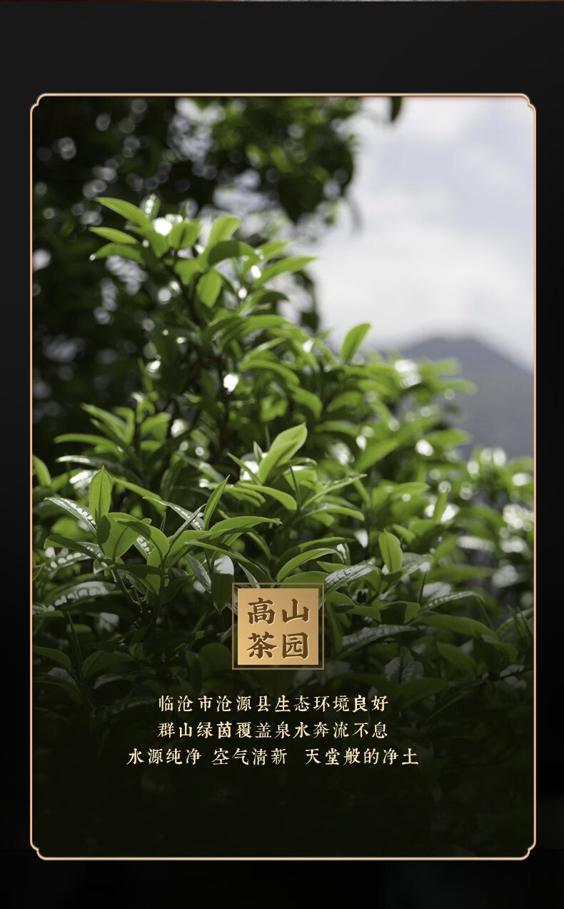 PLUS会员，虎标 春韵青饼普洱生茶 357g 新低59.5元包邮 买手党-买手聚集的地方