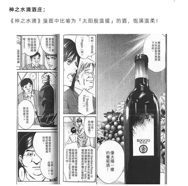 雅诺丝酒庄 2017年 罗吉奥干红葡萄酒 750ml 单瓶装