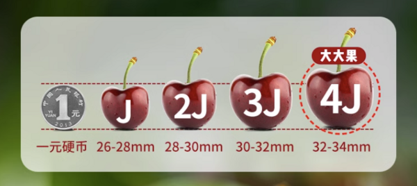 FruitPark 洋果坊 智利进口车厘子 4J 2.5kg原箱 32-34mm