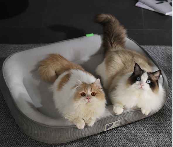 KimPets 宠物四季窝 绿色 L-大型【 长60cm宽45cm】