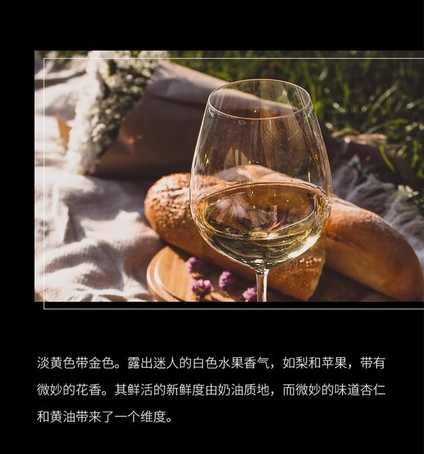 Alexandre Gauvin 亚历山大酒庄 吕利村RULLY 霞多丽干白葡萄酒 750ml 单瓶装