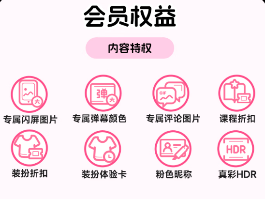 bilibili 哔哩哔哩 大会员年卡 12个月