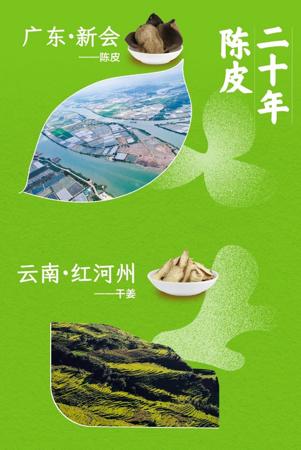仙草秘笈 陈皮甘草干姜植物饮料 310ml/罐 12罐（一箱装）