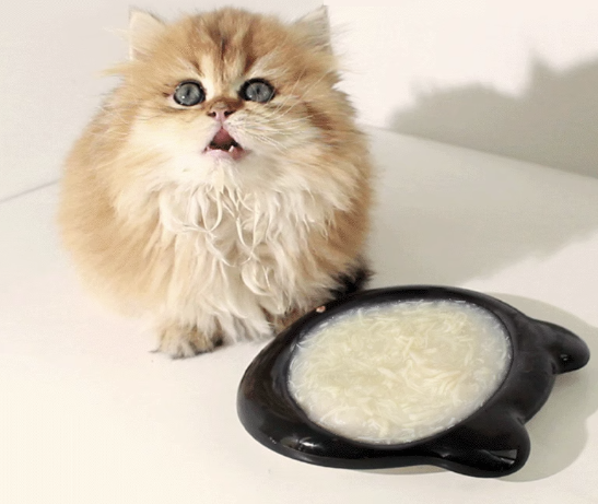 瑞恩 猫咪零食罐头 鸡丝蔬菜85g*8罐+主食罐100g
