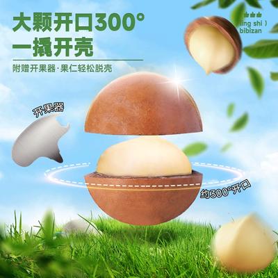 bibizan比比贊夏威夷果原味400g