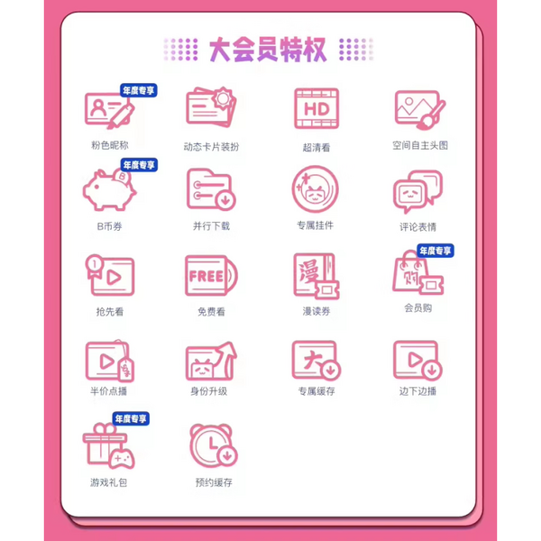 bilibili 哔哩哔哩 b站超级大会员年卡