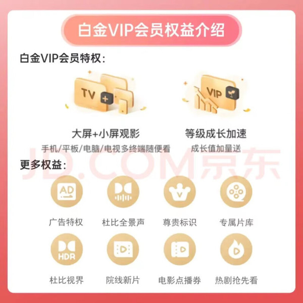 iQIYI 爱奇艺 白金VIP会员12个月+京东Plus会员12个月