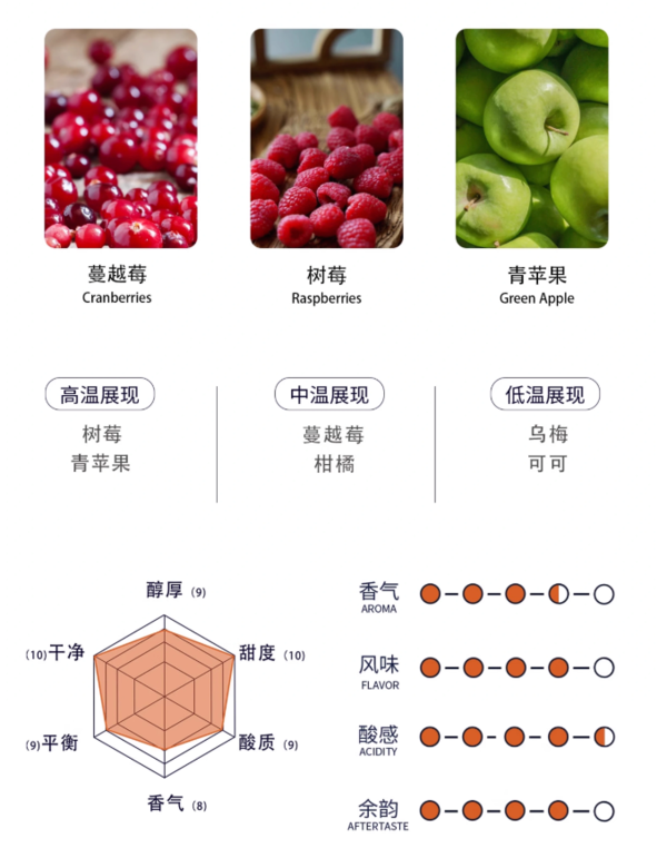 FOR COFFEE 四人咖啡 坦桑尼亚塔里梅肯特N39水洗手冲浅烘咖啡豆227g