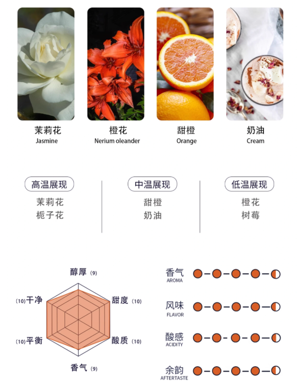 FOR COFFEE 四人咖啡 2023BOP竞标批次四人巴拿马芭比朵庄园水洗瑰夏浅烘咖啡豆227g