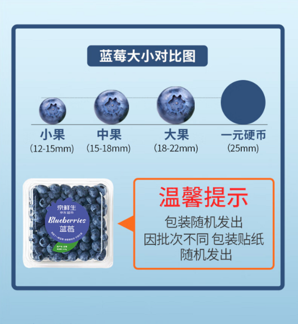 Mr.Seafood 京鲜生 云南蓝莓 12盒 约125g*盒 15mm+