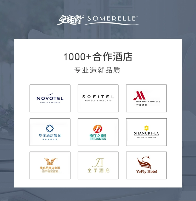 Somerelle 安睡宝 抗菌四孔舒适枕一对 48*74cm 39.9元包邮 买手党-买手聚集的地方