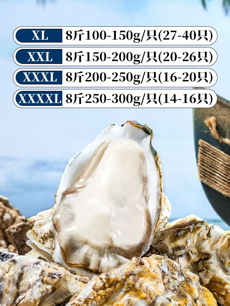 生蚝小镇 大连刺身级生食鲜活生蚝 XXXL（140g-190g）8斤 129元包邮（拍2更划算） 买手党-买手聚集的地方