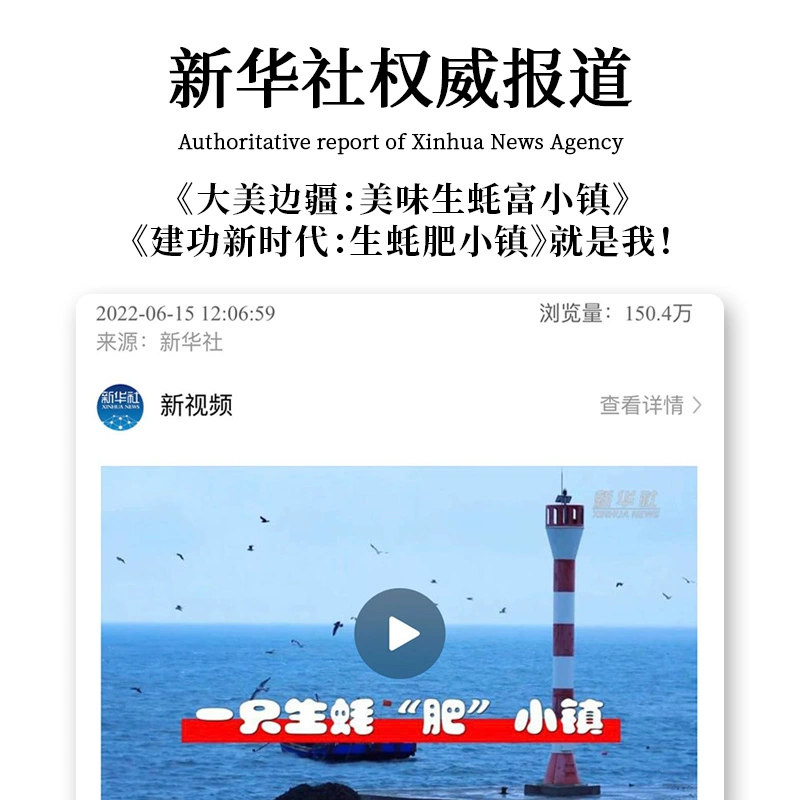 生蚝小镇 大连刺身级生食鲜活生蚝 XXXL（140g-190g）8斤 129元包邮（拍2更划算） 买手党-买手聚集的地方