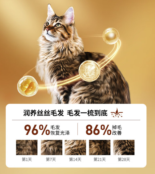 Pure&Natural 伯纳天纯 全价低温烘焙 鲜肉鸡肉三文鱼猫粮 2kg