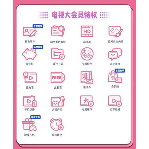 bilibili 哔哩哔哩 电视端大会员年卡 支持电视端