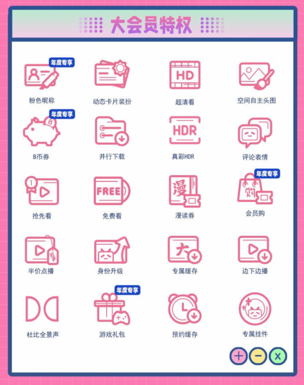 bilibili 哔哩哔哩 大会员年卡