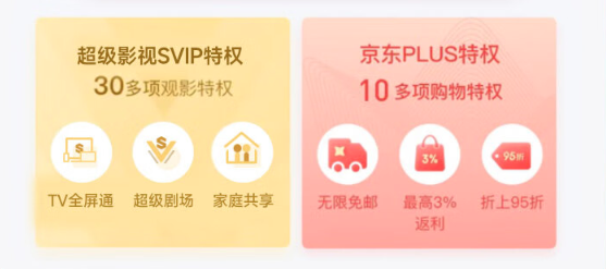 Tencent Video 腾讯视频 腾讯超级会员年卡+京东PLUS年卡 支持电视端