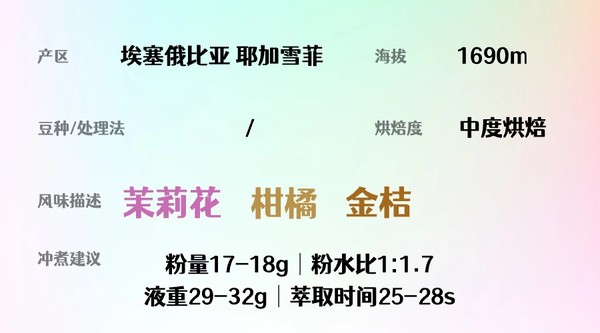 BEAM TIMER 治光师 潜水东路10号 耶加雪菲SOE 意式浓缩咖啡豆 300g