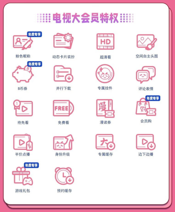 bilibili 哔哩哔哩 电视端大会员年卡