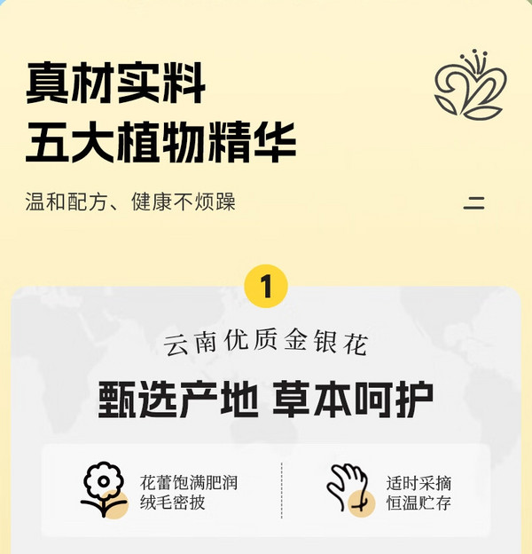 轻上 金银花凉茶245ml*10瓶
