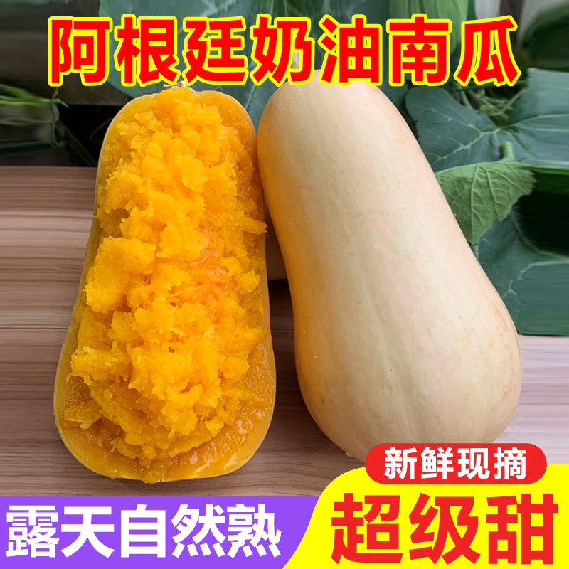 蹊蹊的小菜园 当季新鲜现摘奶油小南瓜 5斤 新低9.4元包邮 买手党-买手聚集的地方