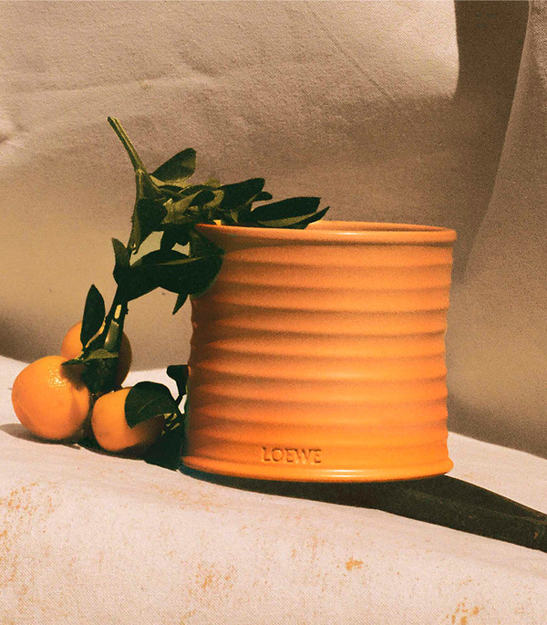 LOEWE 罗意威 橙花香氛蜡烛 170g