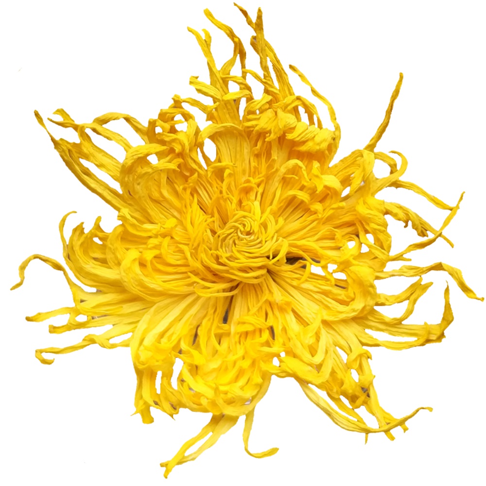 一朵一杯，徽春堂 金丝皇菊 20g 约50朵 5.9元包邮 买手党-买手聚集的地方