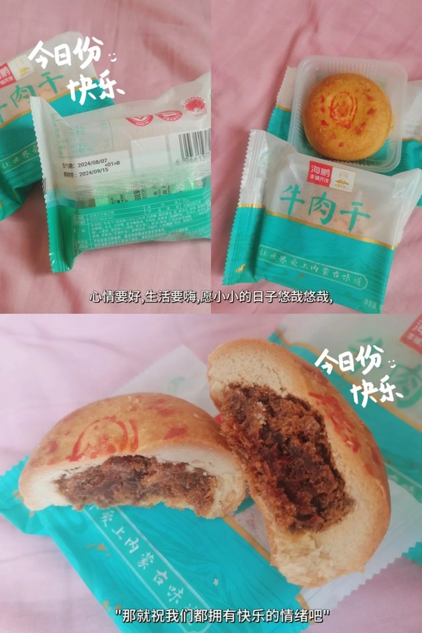 海鹏 牛肉干月饼 70g*5枚