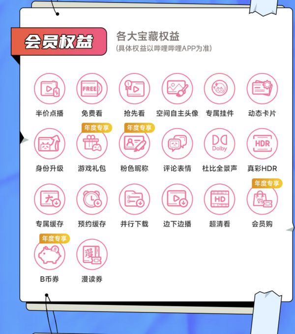 哔哩哔哩 bilibili vip会员12个月年卡B站年度大会员