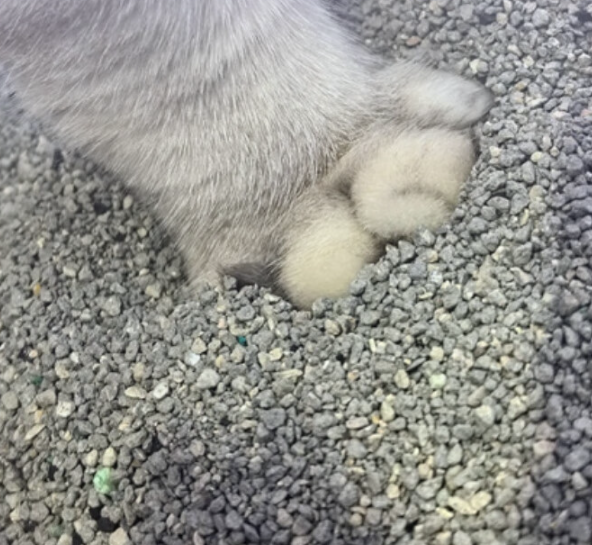 京觅 矿石猫砂 2.5kg