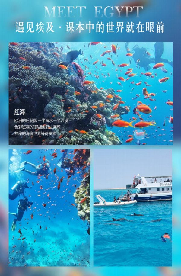 双11纯玩埃及经典跟团游8天金字塔开罗卢克索红海狮身人面像