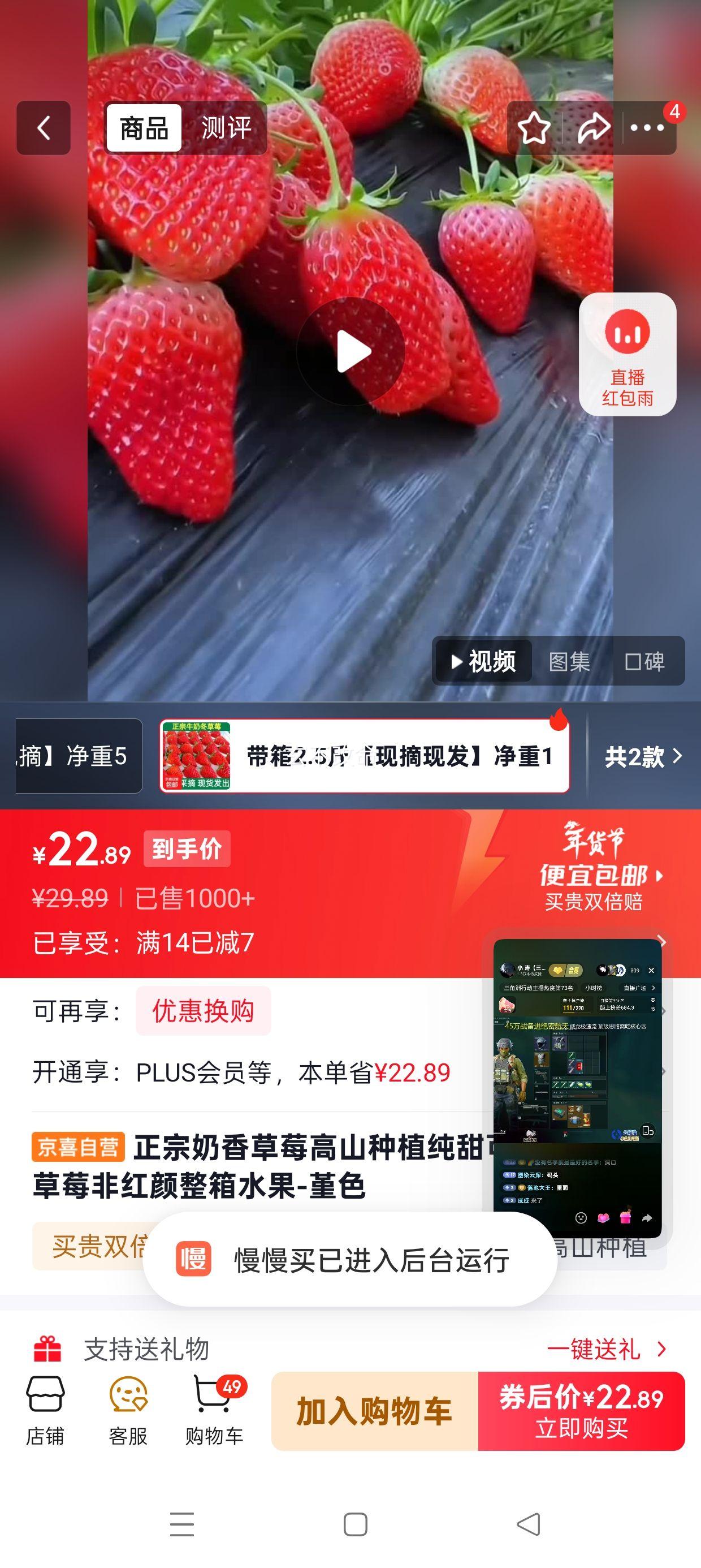 堇色 奶香草莓 高山种植 纯甜可口 2.5斤带箱 净重1000g 单果15g+优惠证明