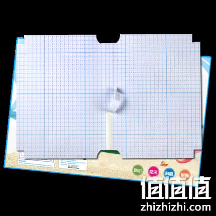  【迪斯熊】 自粘防水牛皮纸书皮+姓名贴
