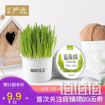  网易严选 无土猫草杯 猫草杯