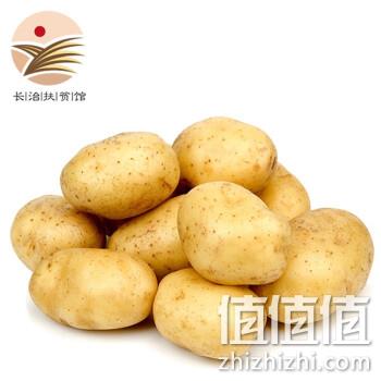  长治扶贫馆 新鲜土豆马铃薯 中果5斤