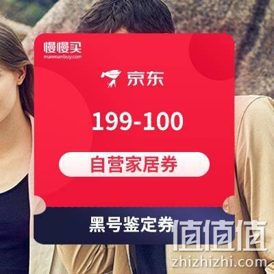  199-100自营家具券
