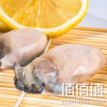  拍三件 阿斌鲜生 生蚝肉罐装 500g（罐装不带壳）